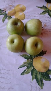 img_20161218_1342081